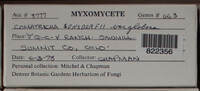 Image Associated With the Occurence